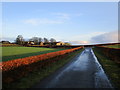 Farm road at Draffanmarshill