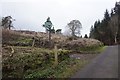 Southern Upland Way towards Howlands Plantation