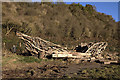 A wooden boat sculpture by the River Tweed