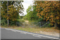 Field entrance off South Hanningfield Road