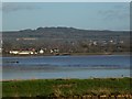 SY0387 : Woodbury Castle seen from across the Exe estuary by David Smith