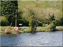 J1021 : Fishing stands on the Fathom Line side of the Newry Canal by Eric Jones