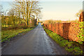 Colourful hedge, Corbally