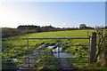 Muddy entrance to field, Corbally