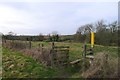 Footpath past Sykes Spinney