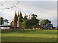 Oasthouse at Little Scotney Farm, Lamberhurst, Kent