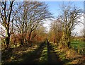 Track west of Chapel Farm