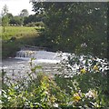 Weir, Ashford Mill