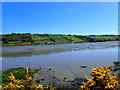 A view East across the Newry River towards the A2 (Warrenpoint Road)