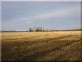 Stubble field and houses on Back Lane, Swarby