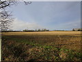 Looking towards Orchard Cottage from Swarby Lane