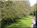 Isle of Wight Steam Railway