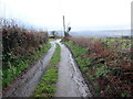 Heol fynediad ger Glanbran / Access road near Glanbran