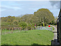 Level crossing, Isle of Wight Steam Railway