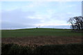 Farmland at Cruggleton Old Church