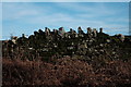 SO5717 : Dry stone wall on Coppet Hill by John Winder