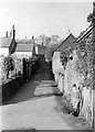 A back lane in Stogumber, 1950