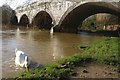 Great Central Way viaduct across the River Biam