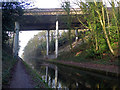 Tame Valley Canal - Scott Bridge