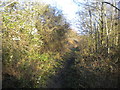 Public footpath north west of Weldon