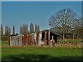 Decrepit farm structure near Hatfield Woodhouse