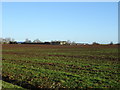 TA2732 : Field towards Kenby Farm by JThomas