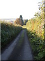 Road down to Cwmgwili House , Bronwydd Arms