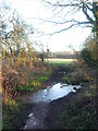 Crossing the stream near Withy Bed