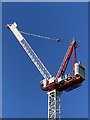 Crane at Kidbrooke