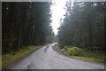 NX5573 : Bennan Block: northbound logging road by Richard Webb