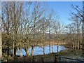 Pond at Cefncarnau