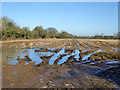 An icy field