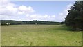 Field near Lough House