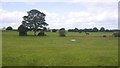 NZ2878 : Fields by Laverock Hall by Richard Webb