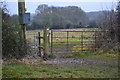 Field gate on path south of Whiteparish