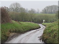 TL4724 : Country lane near Farnham by Malc McDonald