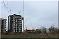 Construction work on Albany Road