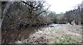 The Mouse Water below Lockhart Mill