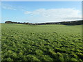 Farmland north of Newmains, near Prestonmill