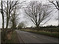 Lowdham Lane looking towards Lowdham