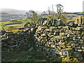 Stone stile in wall east of Laverock Seat