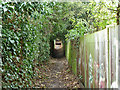 Footpath towards Reigate Road