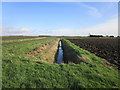 Drain alongside First Hurn Drove