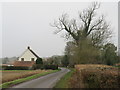 Country lane near Manuden