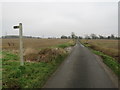 TL4727 : Country lane near Manuden by Malc McDonald
