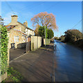 Chesterton: blue sky and bare branches