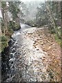 River confluence , above Coylumbridge