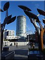 The Rotunda and Birmingham Pub Bombings Memorial