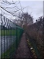 Footpath beside Cloverlea Primary School