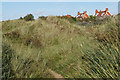SD3115 : Path in the dunes by Bill Boaden